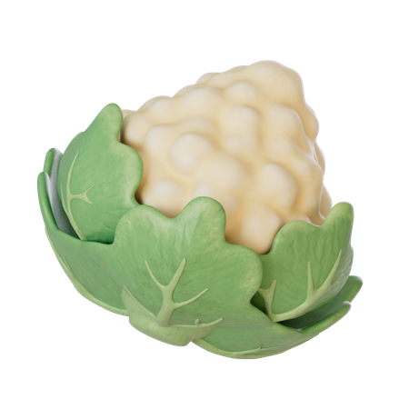 Cauliflower  3D Illustration