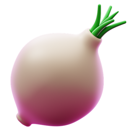 Cebola bombaim  3D Icon