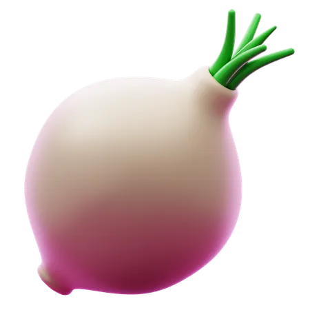 Cebola bombaim  3D Icon