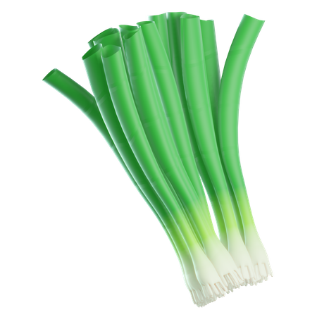 Cebola verde  3D Icon