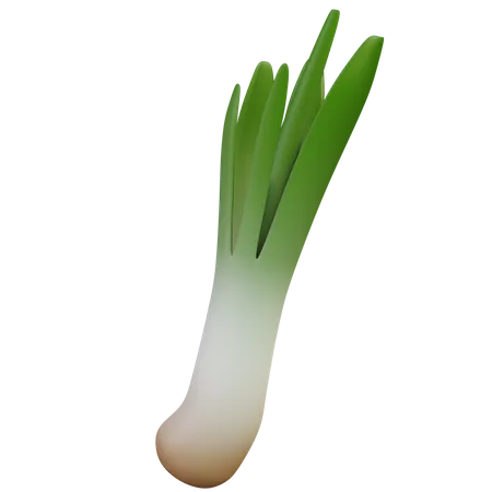 Cebola verde  3D Illustration
