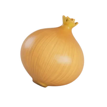 Cebolla amarilla  3D Illustration