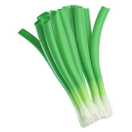 Cebolla verde  3D Icon