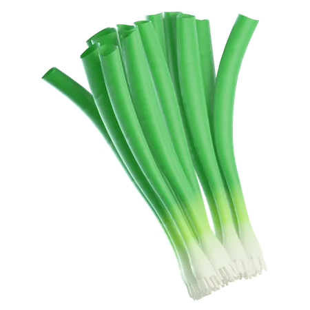 Cebolla verde  3D Icon