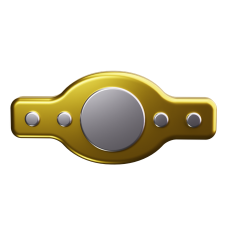 Ceinture d'haltérophilie  3D Icon