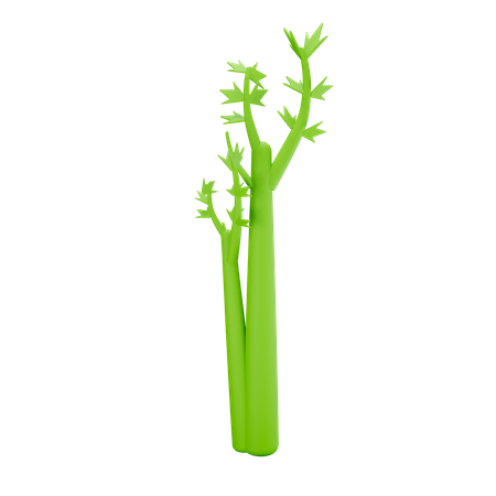 Céleri  3D Icon