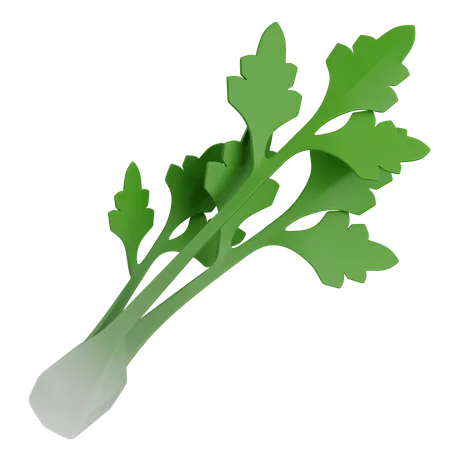 Celery  3D Icon