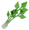 Celery