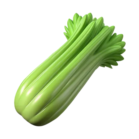 Celery  3D Icon