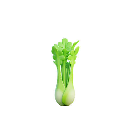 Celery  3D Icon