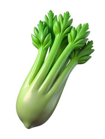 Celery  3D Icon