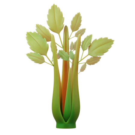 Celery  3D Icon