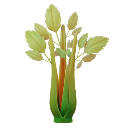 Celery  3D Icon