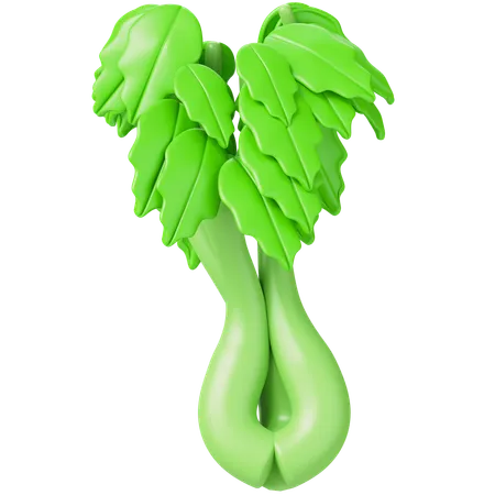 Celery  3D Icon