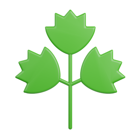 Celery  3D Icon