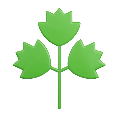 Celery  3D Icon