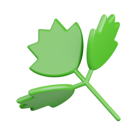 Celery  3D Icon