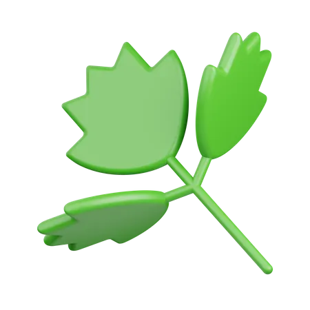 Celery  3D Icon