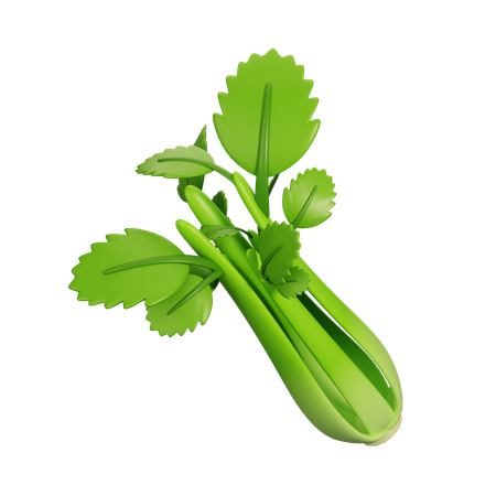 Celery  3D Icon