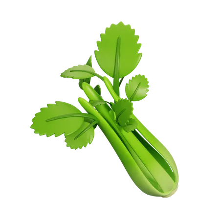 Celery  3D Icon
