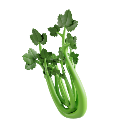 Celery  3D Icon