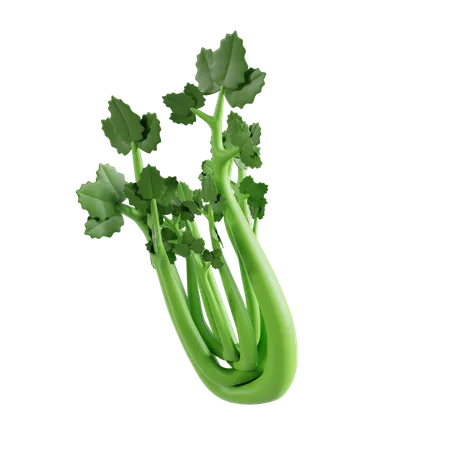 Celery  3D Icon