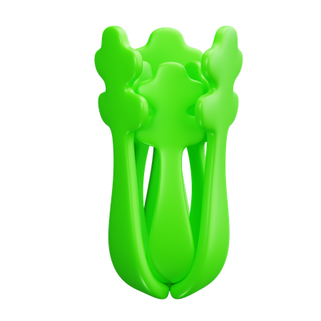 Celery  3D Icon