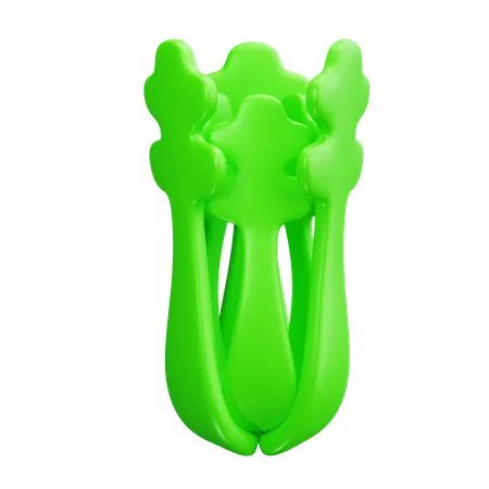 Celery  3D Icon