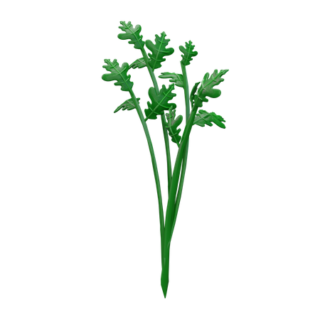 Celery  3D Icon