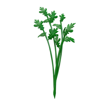 Celery  3D Icon