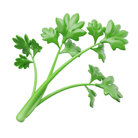 Celery  3D Icon