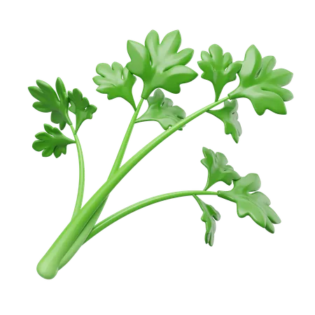 Celery  3D Icon