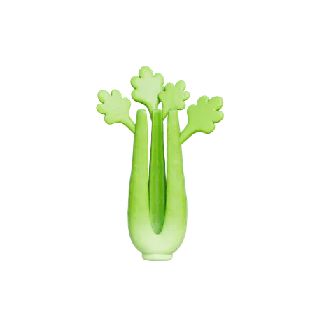 Celery  3D Icon