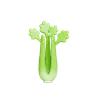 Celery