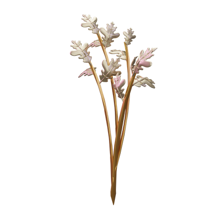 Celery  3D Icon
