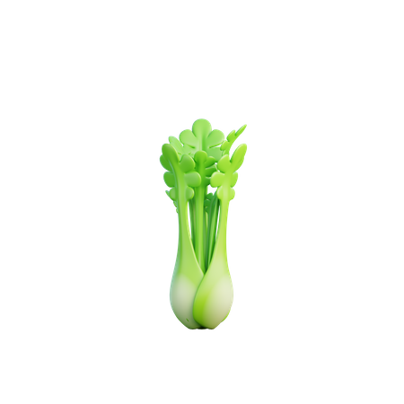 Celery  3D Icon