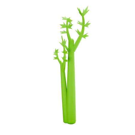 Celery 3D Illustration