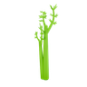 3d celery emoji