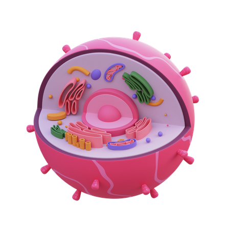 Cell  3D Icon