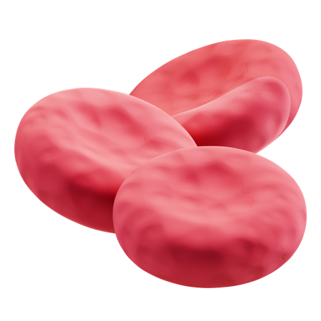 Cellule sanguine  3D Icon