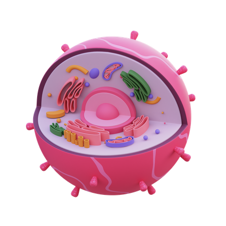 Célula  3D Icon