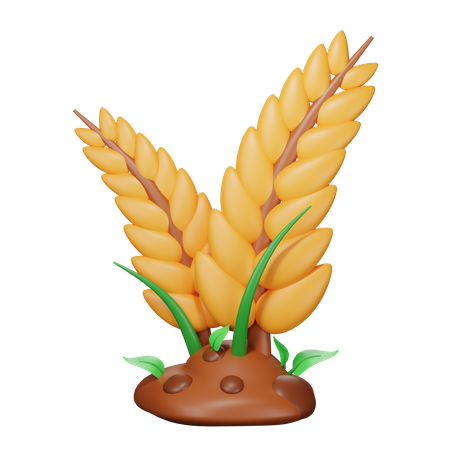 Cereal Crops  3D Icon