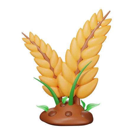 Cereal Crops  3D Icon