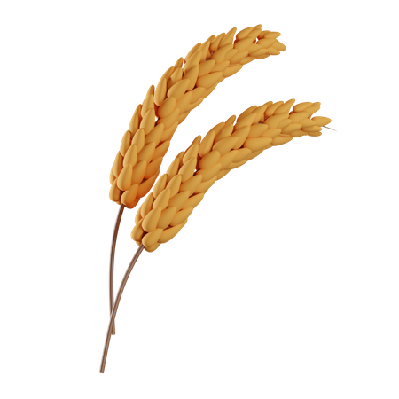 Grain  3D Illustration