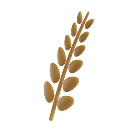 Grain  3D Icon