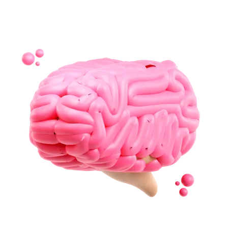 Cerebro  3D Icon