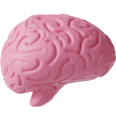 Cérebro  3D Icon