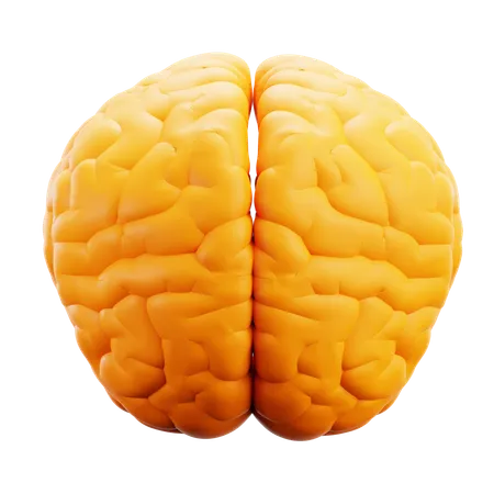 Cerebro  3D Icon