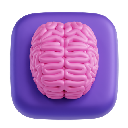 Cerebro  3D Icon