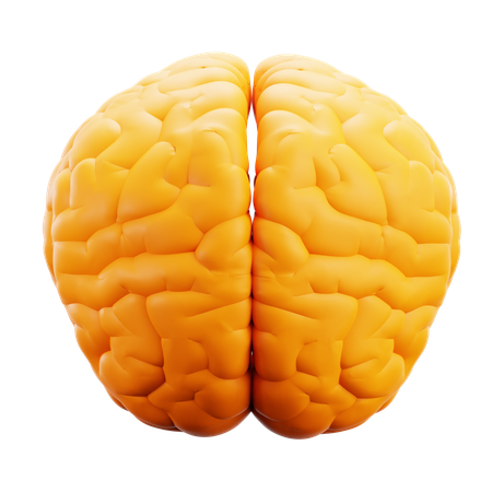 Cérebro  3D Icon